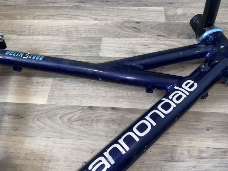 Cannondale Delta V 2000