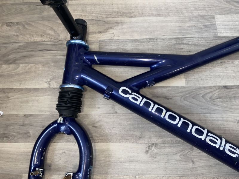 Cannondale Delta V 2000