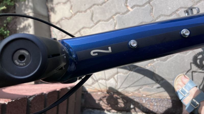 Trek Domane AL 2 Disc