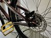 CTM Dirtking 2022
