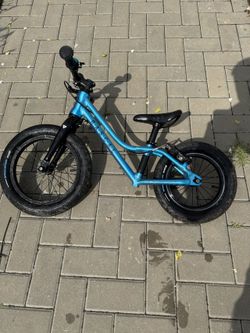 Rascal Punk koloodrážedlo