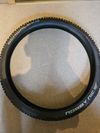 2x Schwalbe Moby Mic 29