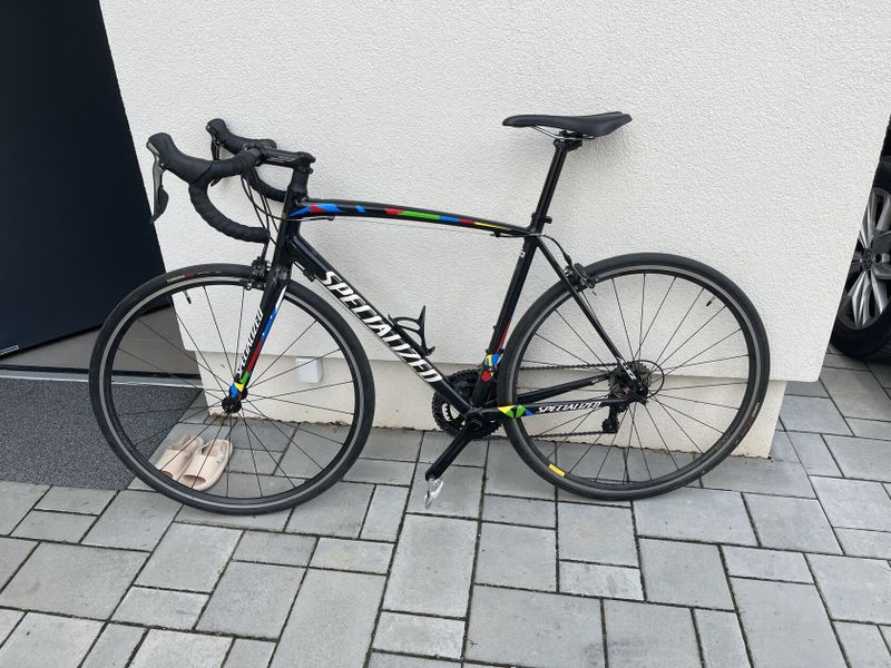 Specialized Peter Sagan