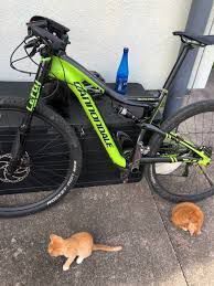 Cannondale Scalpel Team Lefty Hi-Mod