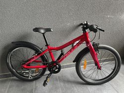AMULET TOMCAT 20" - DARK PINK
