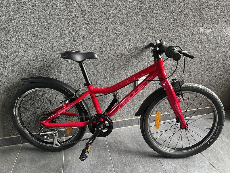 AMULET TOMCAT 20" - DARK PINK