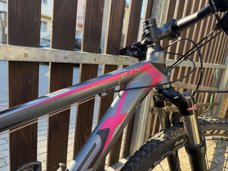 MTB MRX Elite 24