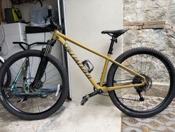 Specialized Rockhopper L 29’
