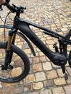 TREK Powerfly LT 9.9
