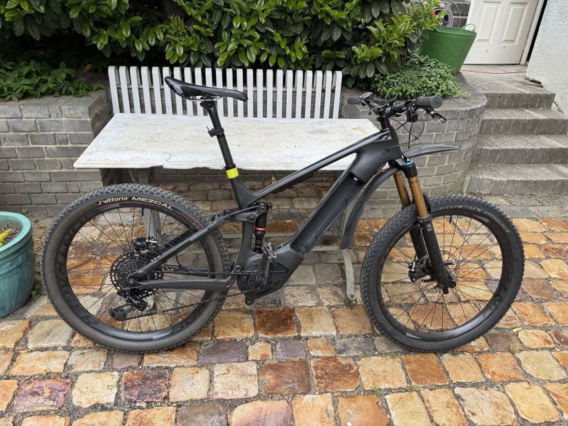 TREK Powerfly LT 9.9