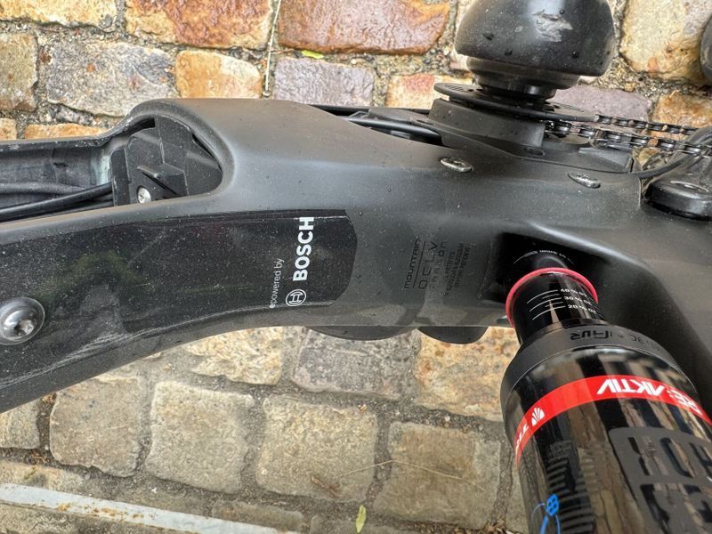 TREK Powerfly LT 9.9