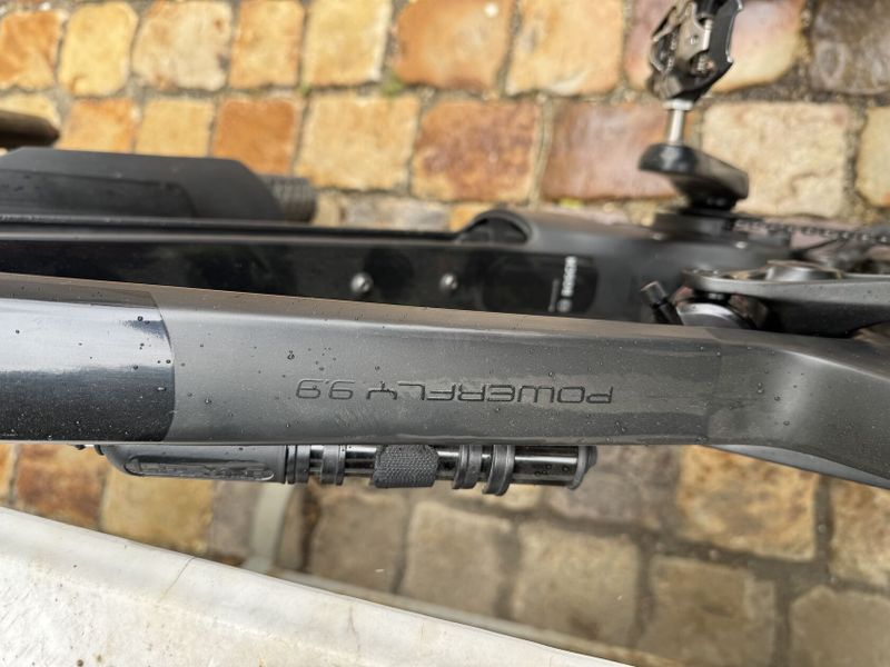 TREK Powerfly LT 9.9