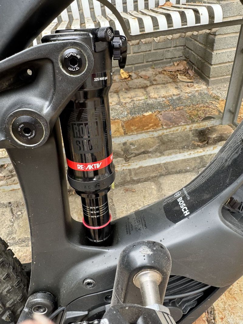 TREK Powerfly LT 9.9