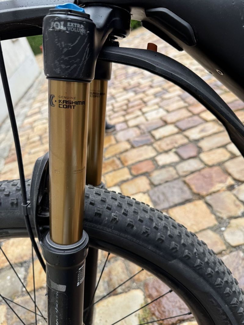 TREK Powerfly LT 9.9