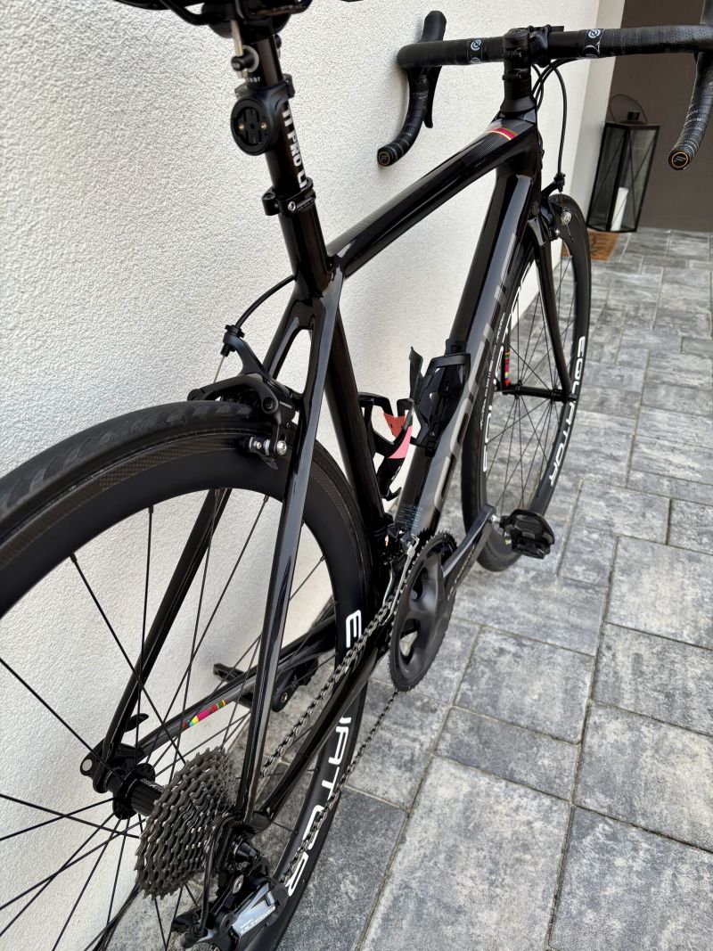 Focus Izalco Race 