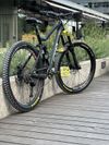 CTM SROLL PRO