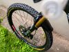 Norco range C1 - GX T-Type AXS - FOX 38 - MAGURA GUSTAV PRO - DT SWISS