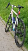  Colnago