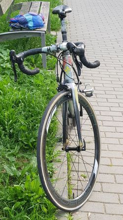  Colnago