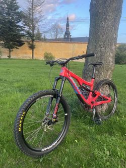 Pivot firebird 