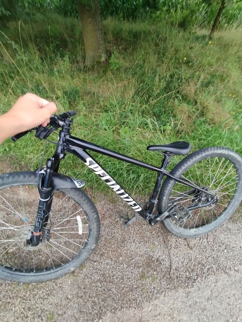 Specialized rockhopper 2022 custom