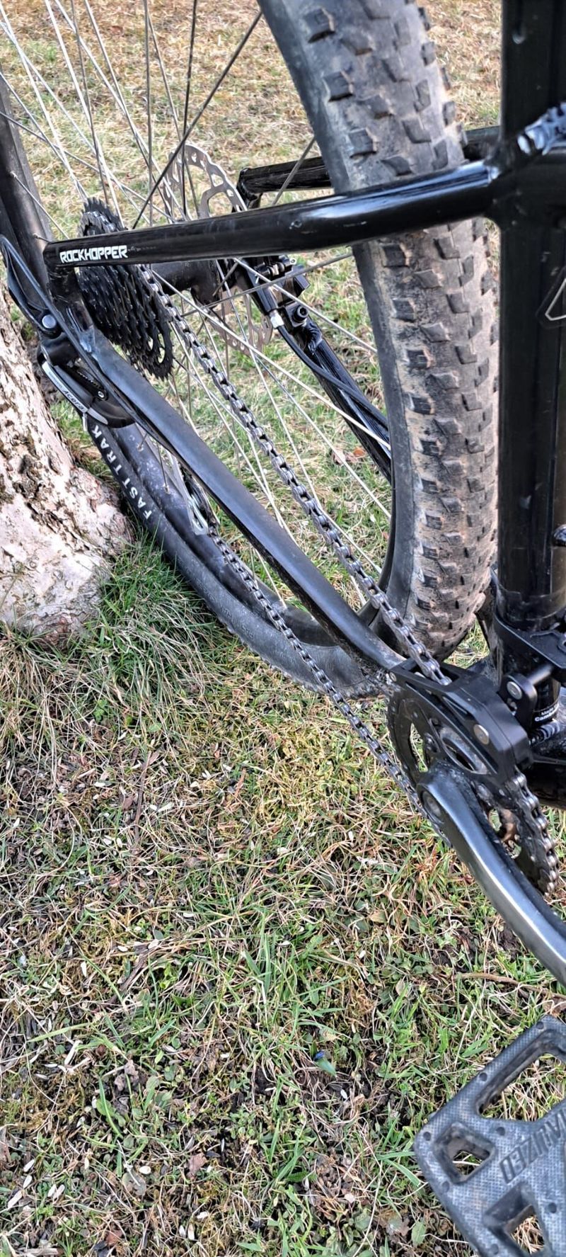Specialized rockhopper 2022 custom
