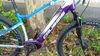 Cruissis E -Fiona 8.6