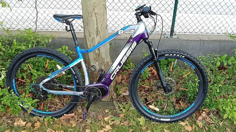 Cruissis E -Fiona 8.6