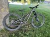 Stumpjumper Comp Alloy 2023 