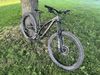 Stumpjumper Comp Alloy 2023 
