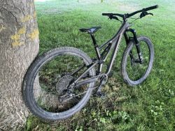 Stumpjumper Comp Alloy 2023 