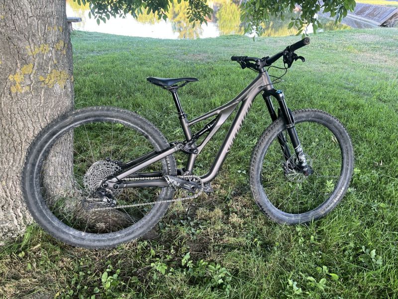 Stumpjumper Comp Alloy 2023 