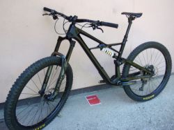 Specialized Enduro S-Works Carbon 29"