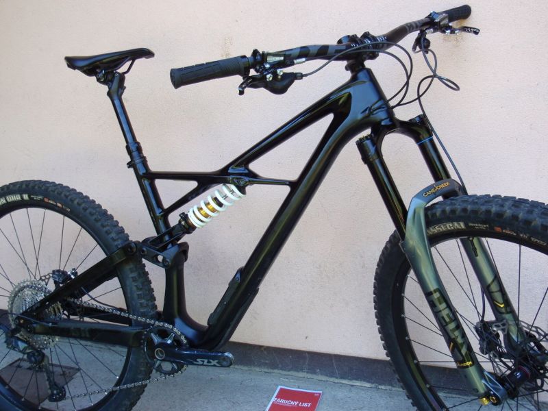 Specialized Enduro S-Works Carbon 29"
