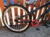Specialized P3(spěchá cena k jednání 