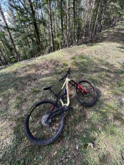 Marin Alpine Trail XR 