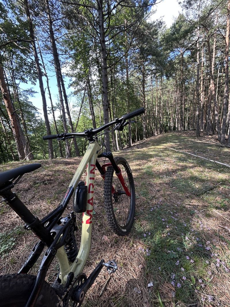 Marin Alpine Trail XR 