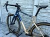 Bianchi arcadex 