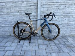 Bianchi arcadex 