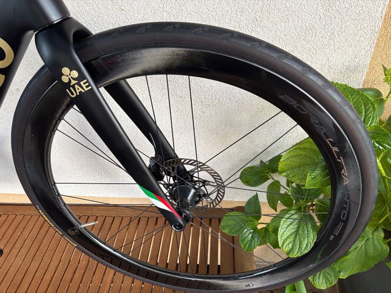 Colnago V3Rs, UAE Emirates, 54s (183-192cm)