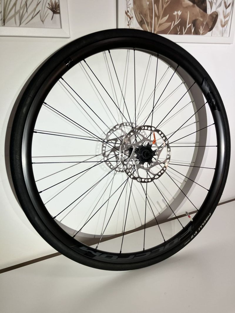 Silnicni zapletena kola Fulcrum Racing 600 DB Disc vcetne plastu a TPU dusi