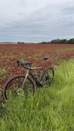 ORBEA TERRA HNĚDÁ COPPER GRX