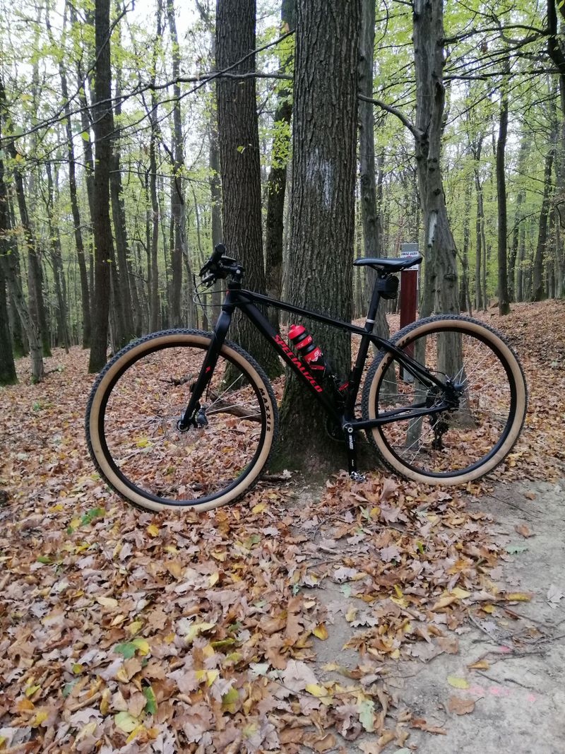 Specialized HT 29 vel. M Sram XX1