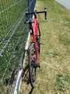 Specialized Allez 