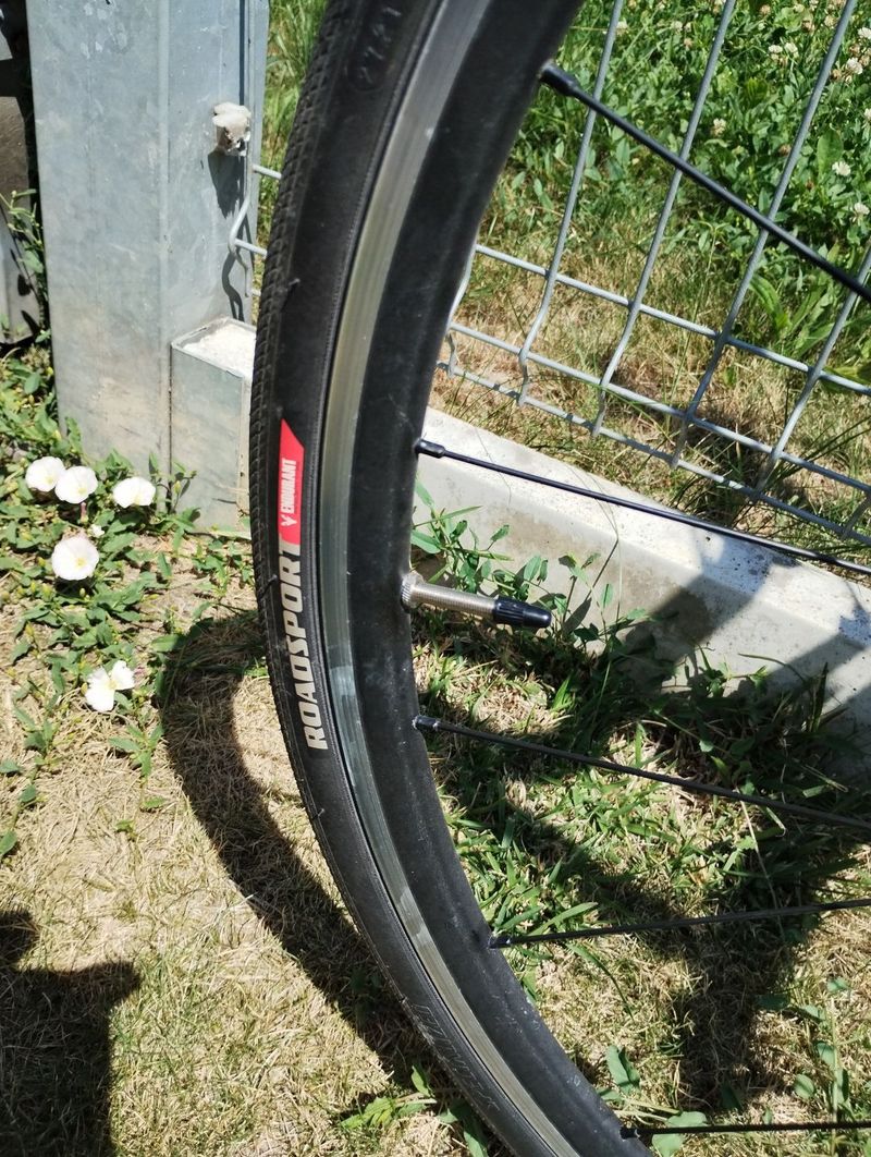 Specialized Allez 
