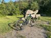 Santa cruz Nomad Carbon C
