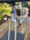 Colnago V5Rs - rámová sada