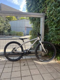 dětské kolo Early Rider Belter 24 Brushed Aluminium