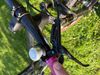 Trek Procaliber
