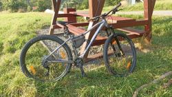 Scott Contessa Active 20